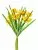 Нарцисс 153480  Интернет-магазин Feron Flower 