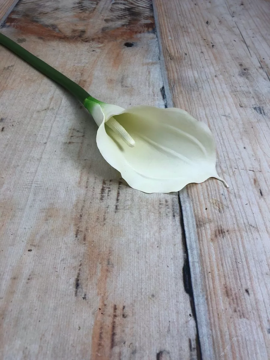 Калла 7700312  Интернет-магазин Feron Flower 