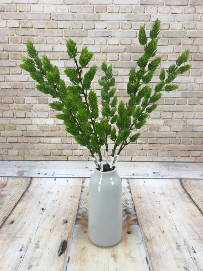 Хмель GK103  Интернет-магазин Feron Flower 