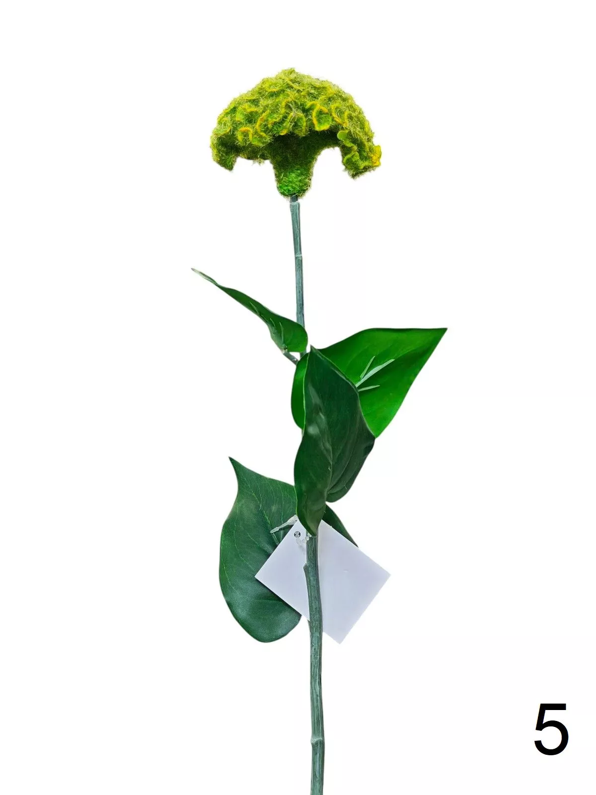 Целозия K03956  Интернет-магазин Feron Flower 