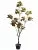 Кротон 9259-1340  Интернет-магазин Feron Flower 