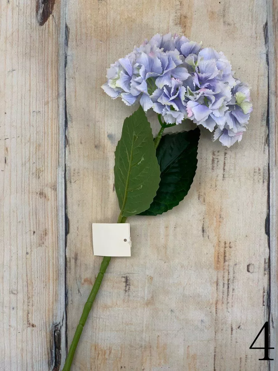 Гортензия K04077  Интернет-магазин Feron Flower 