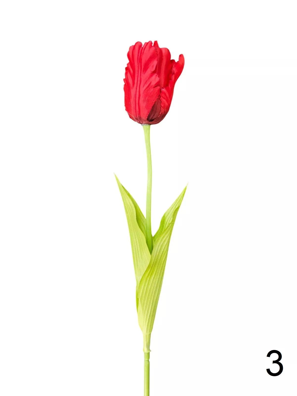Тюльпан 131149  Интернет-магазин Feron Flower 