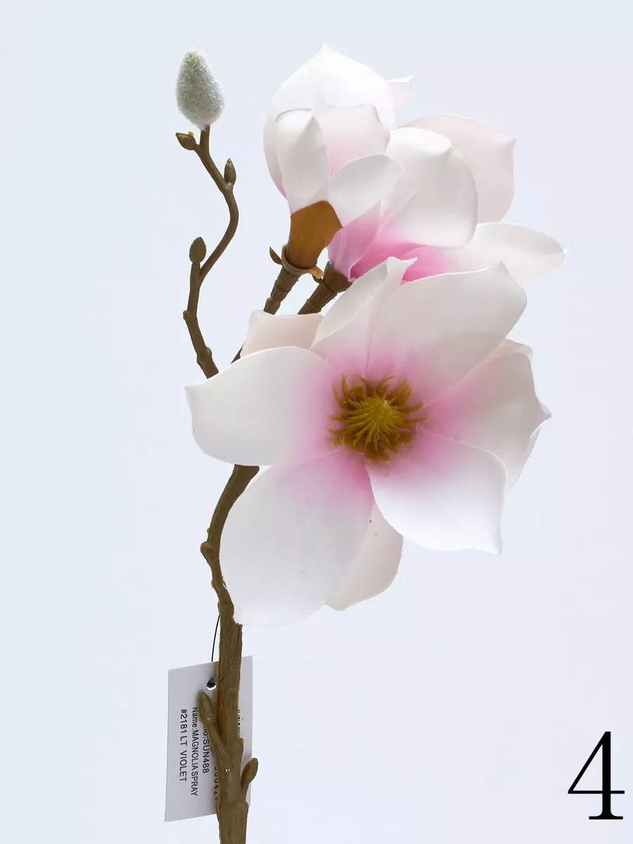 Магнолия SUN488  Интернет-магазин Feron Flower 