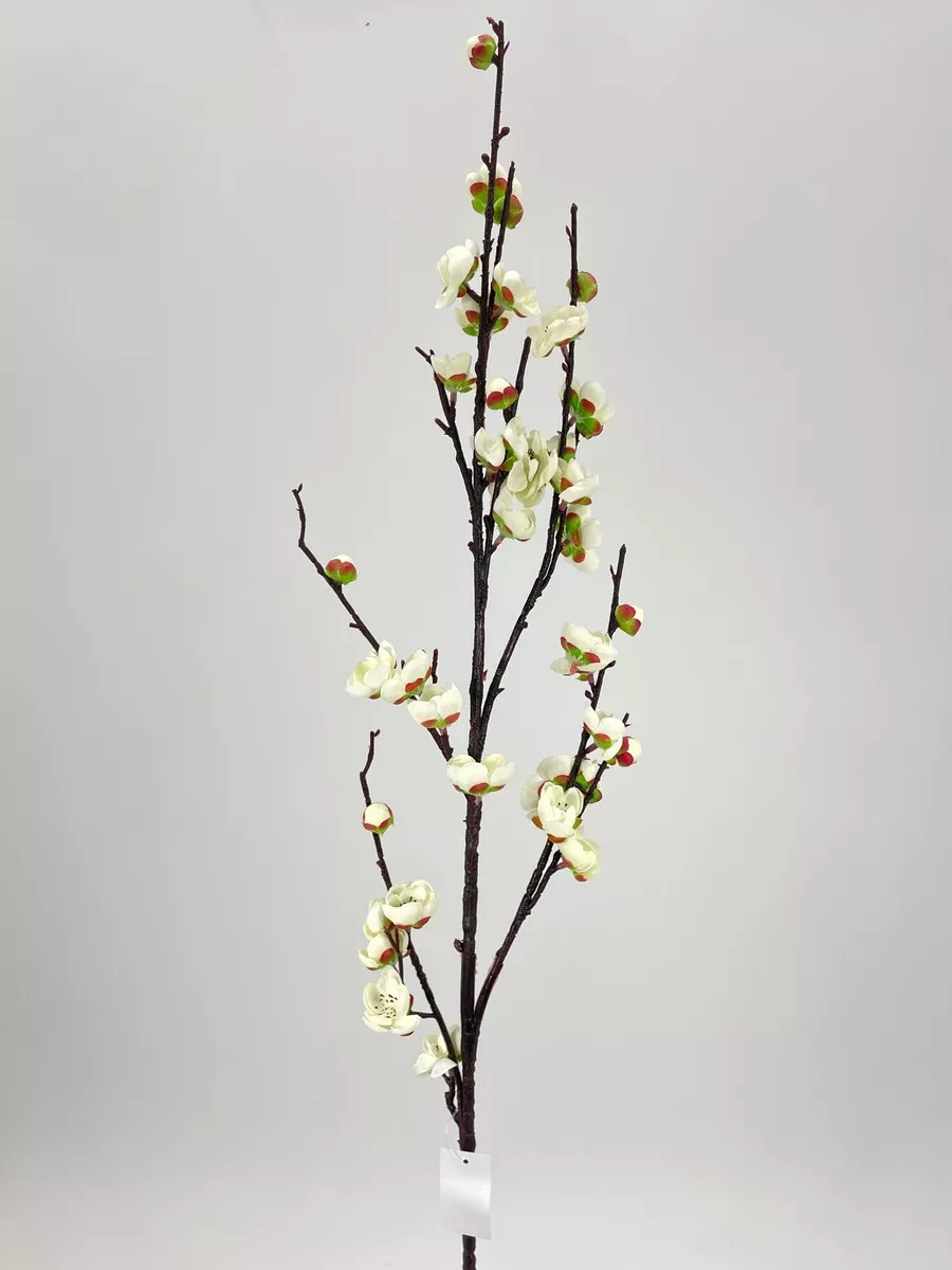 Яблонь FL-QH087  Интернет-магазин Feron Flower 