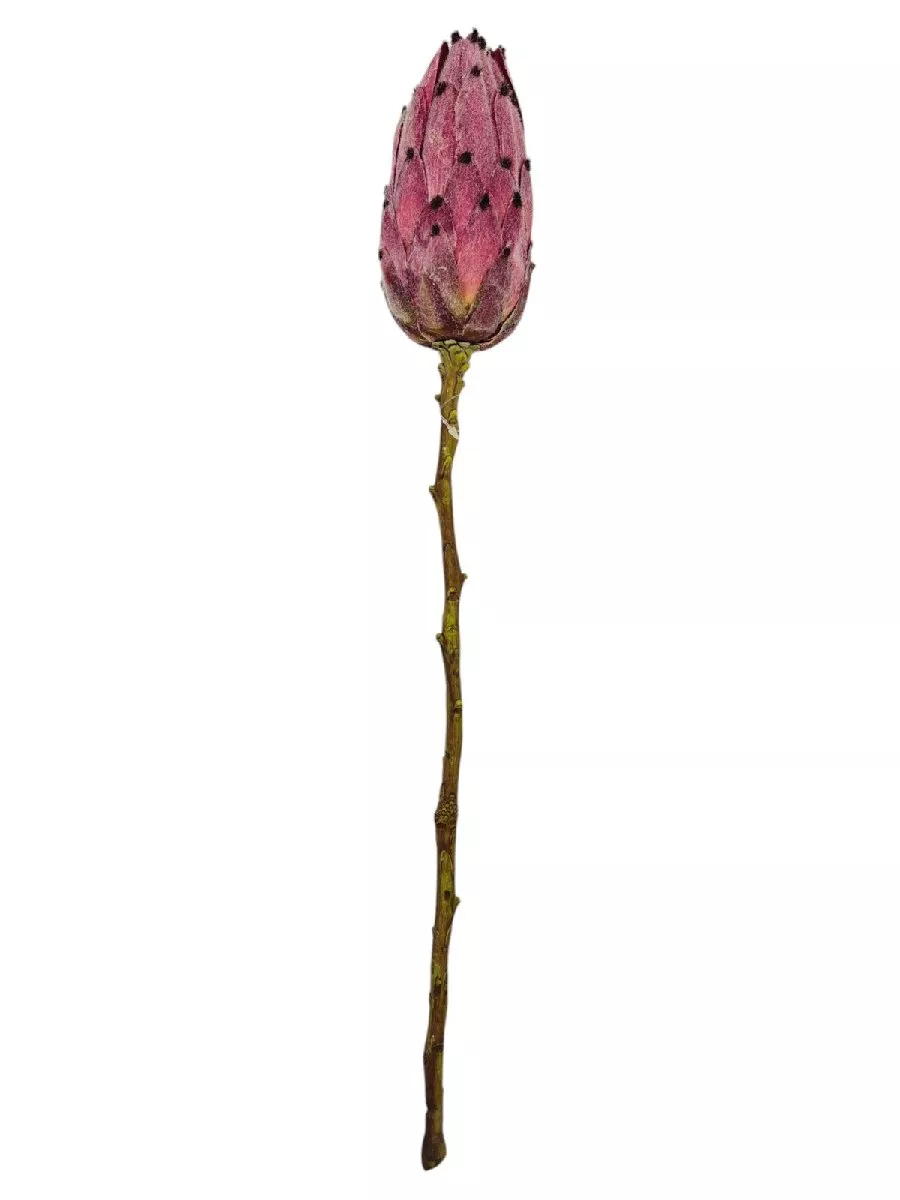 Протея 9144-13  Интернет-магазин Feron Flower 