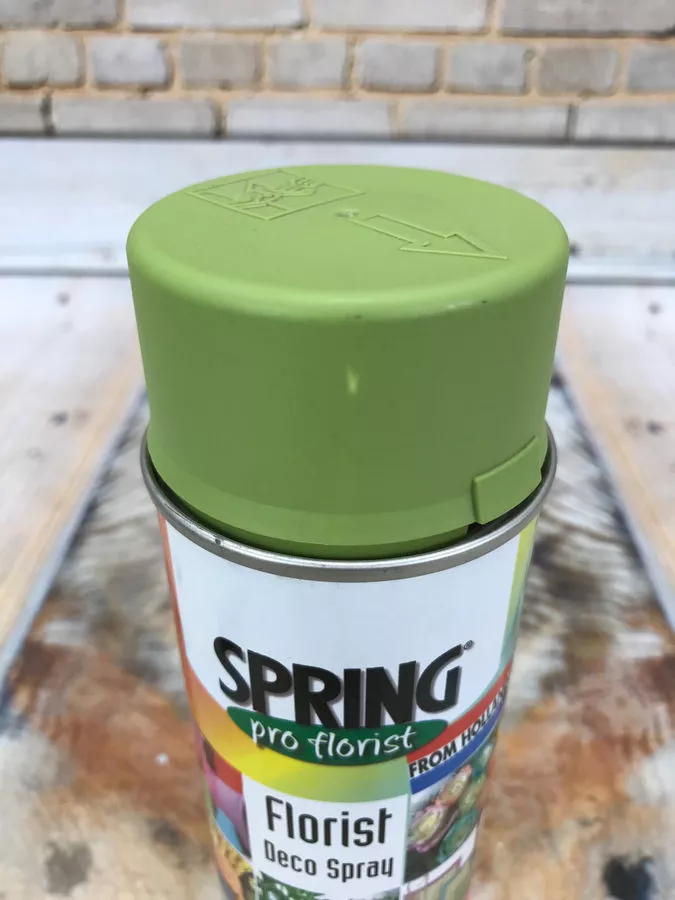 Краска 400ml 018 болото  Интернет-магазин Feron Flower 
