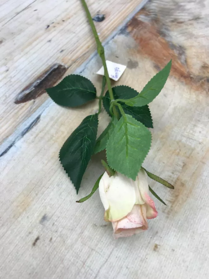 Роза MY85  Интернет-магазин Feron Flower 