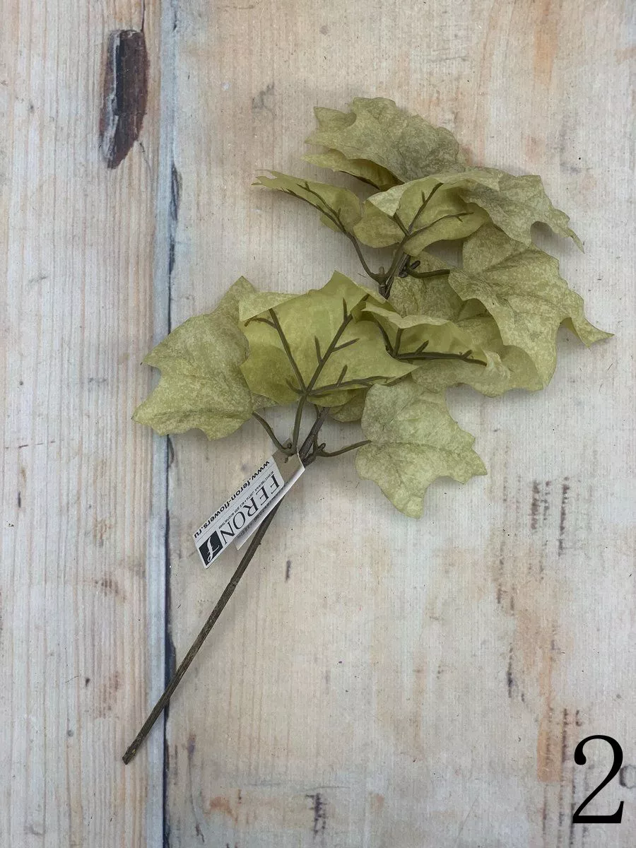 Букет зелени 209CAN1001  Интернет-магазин Feron Flower 