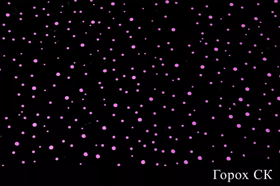 Рулон цветной 220 гр.  Интернет-магазин Feron Flower 