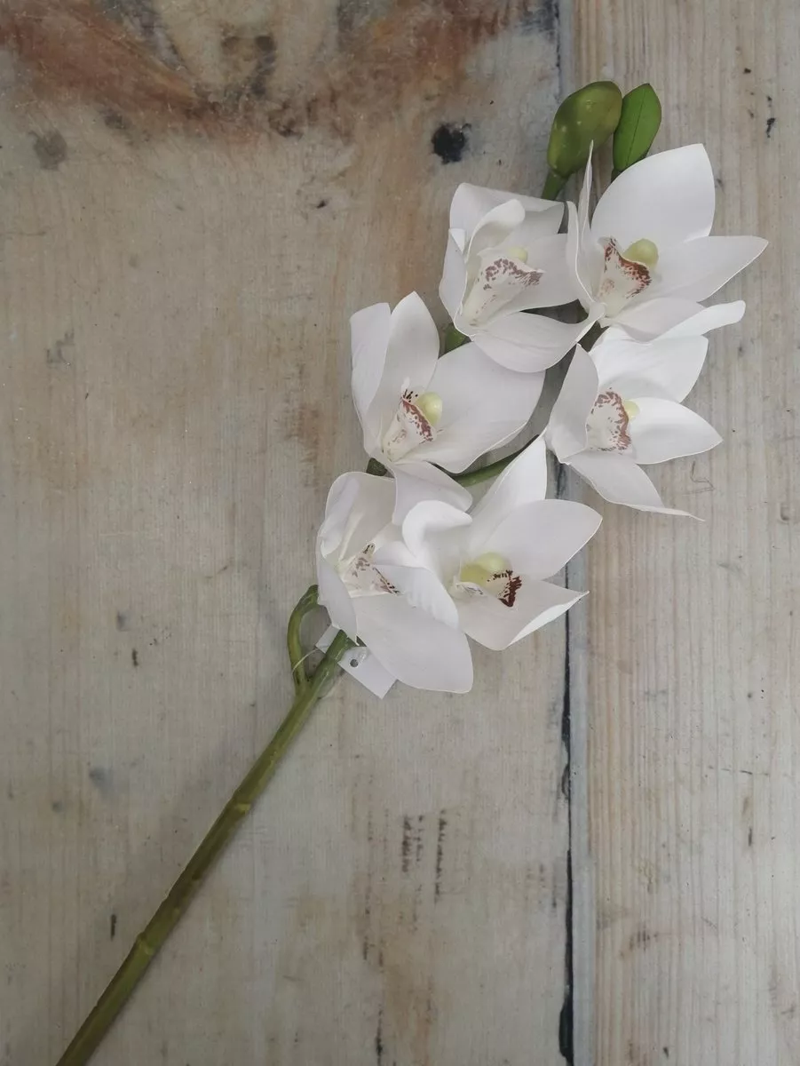 Орхидея GL03348  Интернет-магазин Feron Flower 