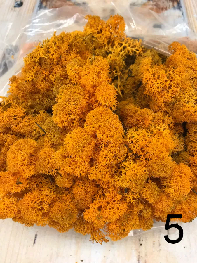 Мох L500   Интернет-магазин Feron Flower 