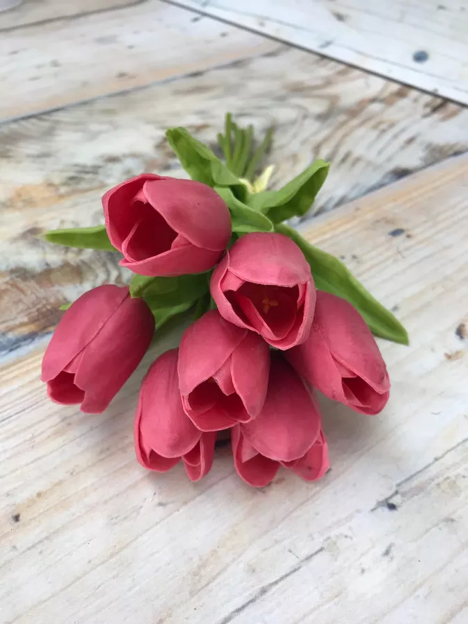 Тюльпан 81CAN056  Интернет-магазин Feron Flower 