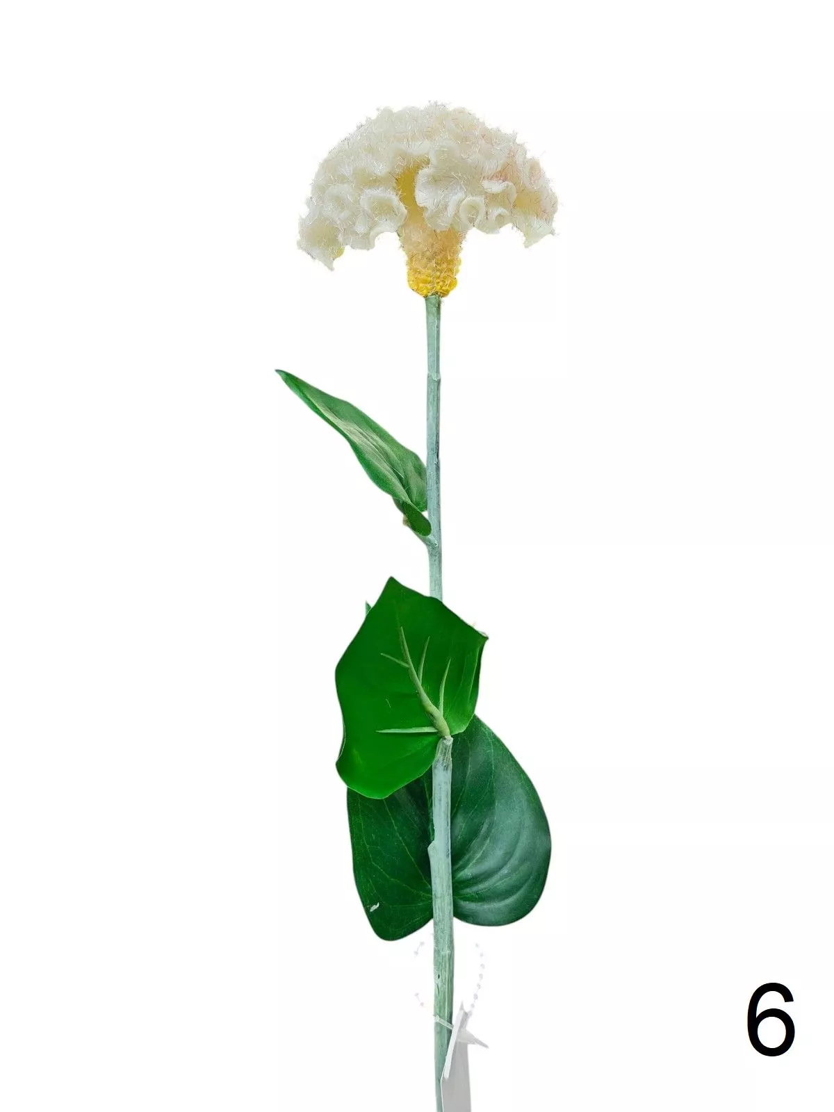 Целозия K03956  Интернет-магазин Feron Flower 