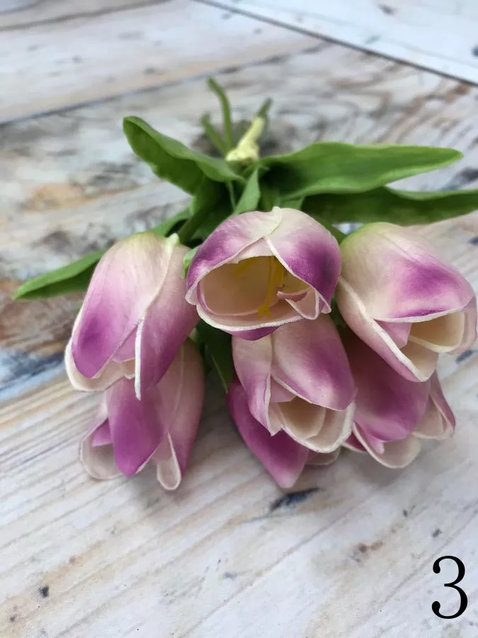 Тюльпан 81CAN056  Интернет-магазин Feron Flower 