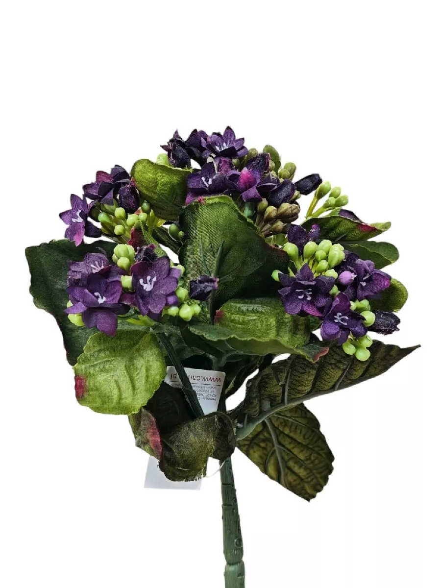Каланхоэ 188CAN88180  Интернет-магазин Feron Flower 