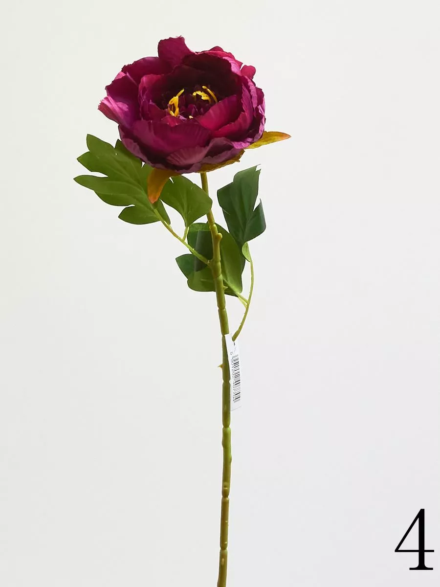 Пион 780088  Интернет-магазин Feron Flower 
