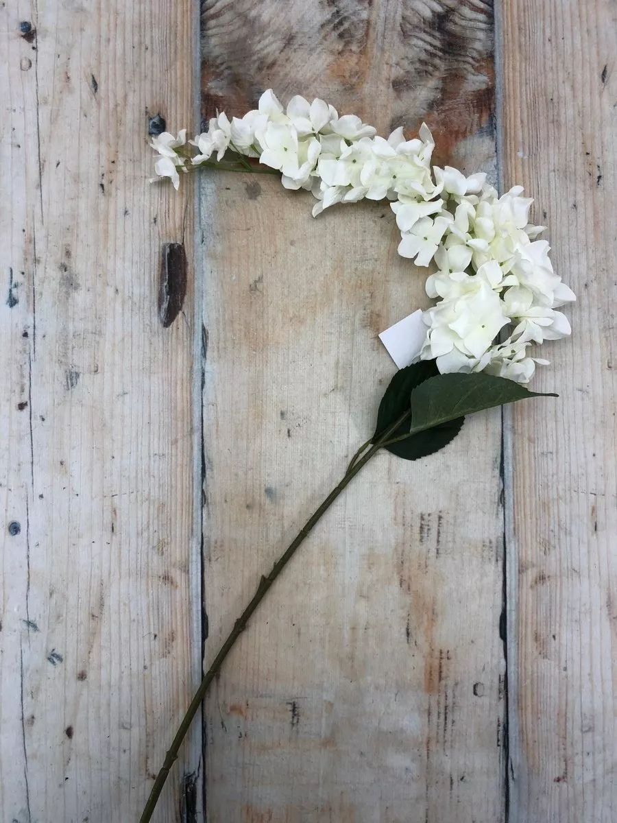 Вистерия K03996  Интернет-магазин Feron Flower 