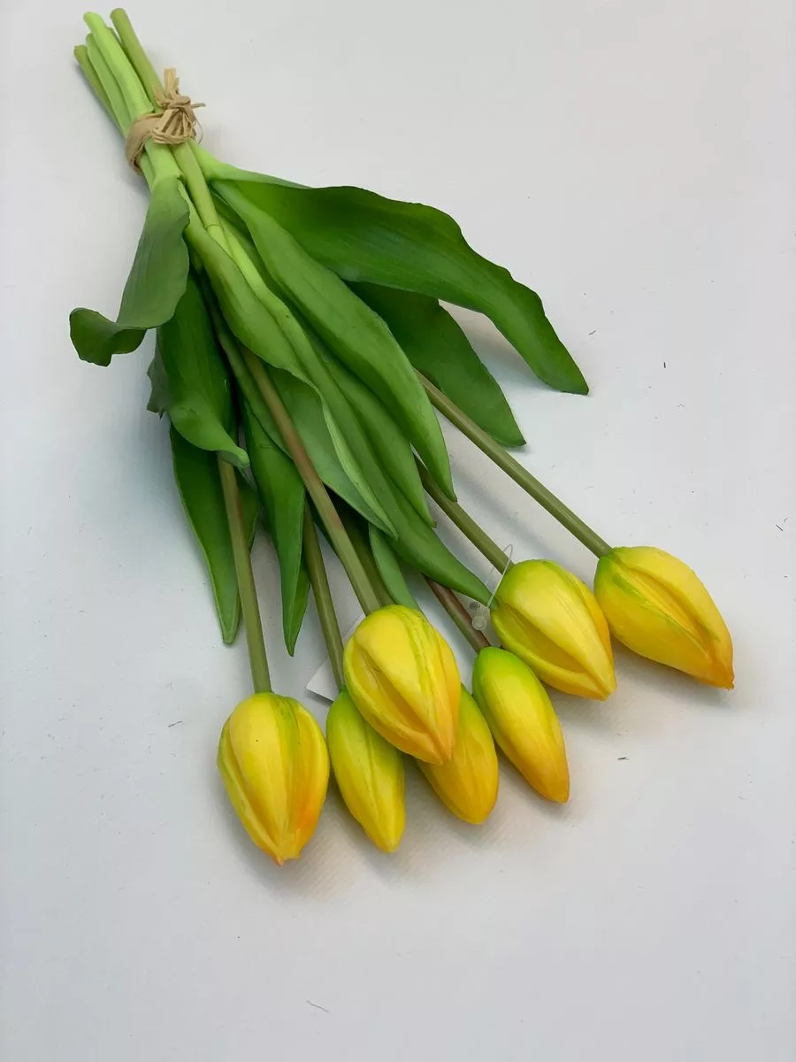 Тюльпан BU04045  Интернет-магазин Feron Flower 