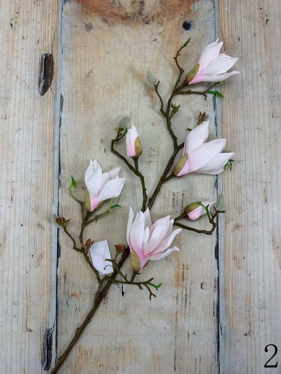 Магнолия SUN632  Интернет-магазин Feron Flower 