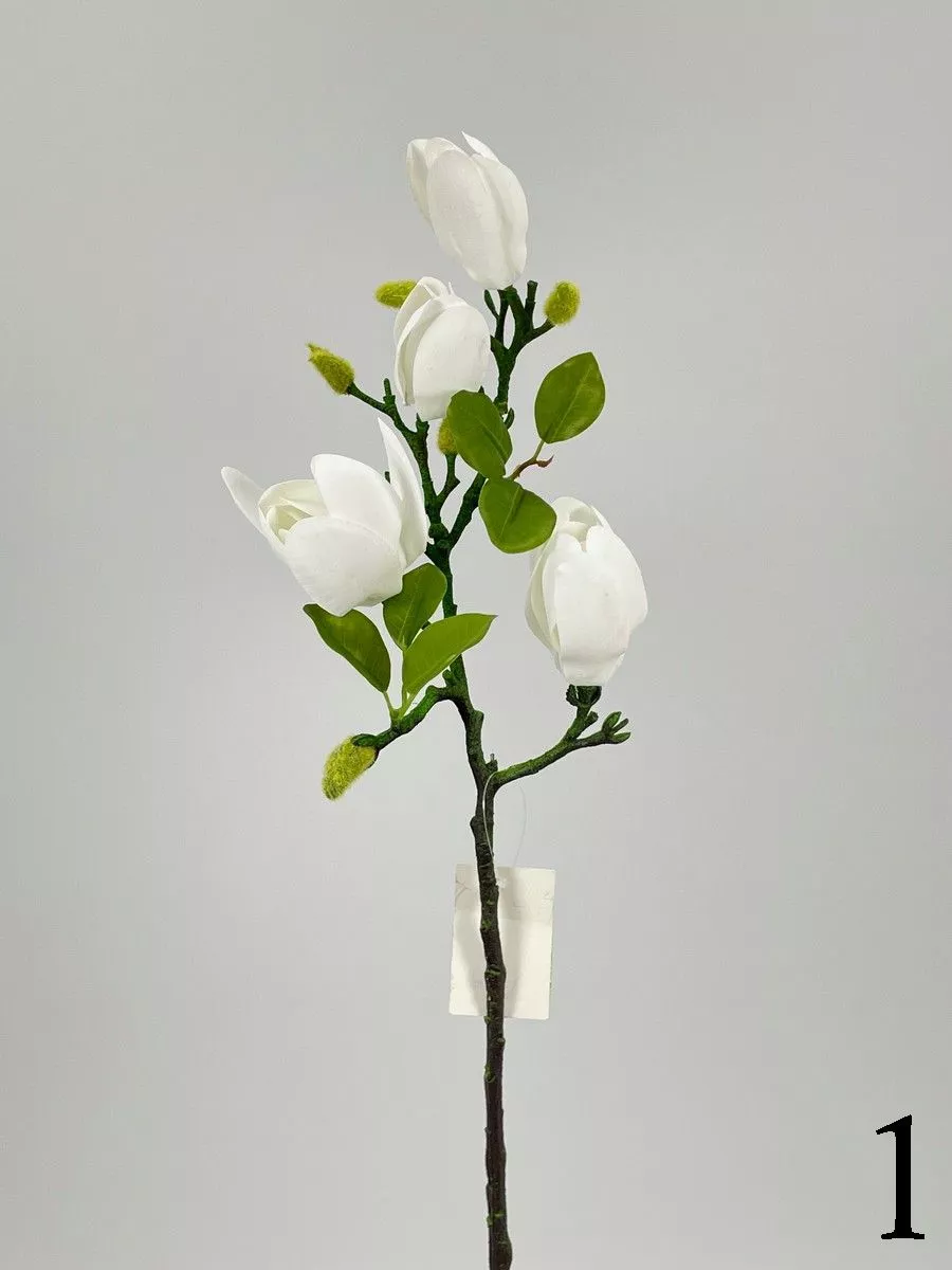 Магнолия PIO-106  Интернет-магазин Feron Flower 