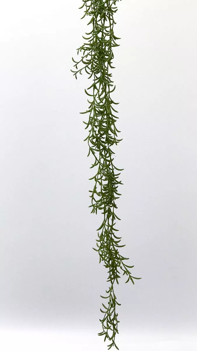 Суккулент YD273  Интернет-магазин Feron Flower 