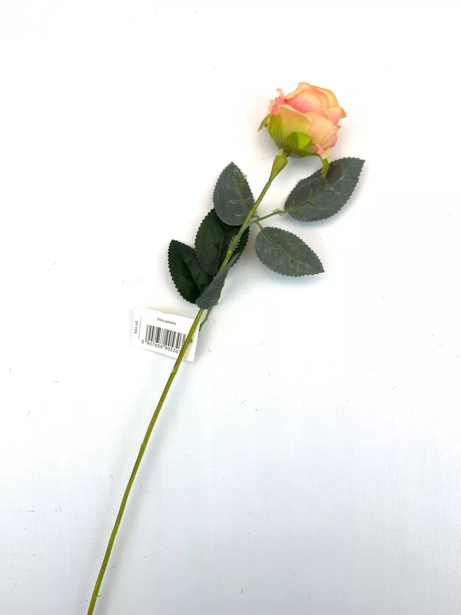 Роза K011  Интернет-магазин Feron Flower 