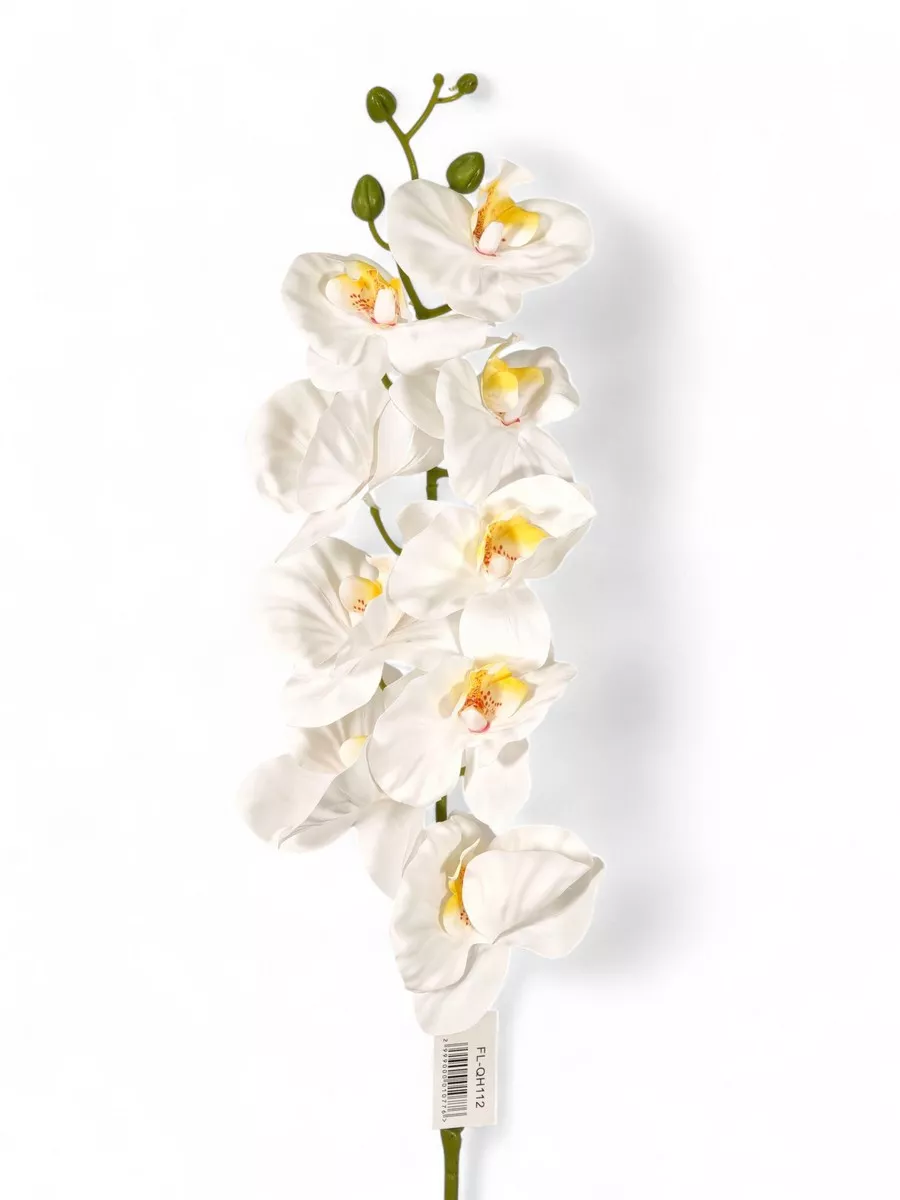 Орхидея FL-QH112  Интернет-магазин Feron Flower 