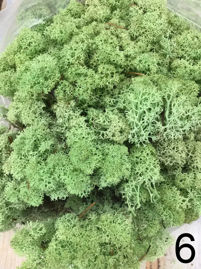 Мох L500   Интернет-магазин Feron Flower 