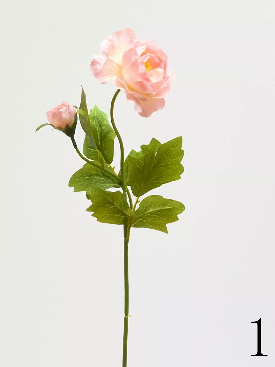 Камелия 15086  Интернет-магазин Feron Flower 