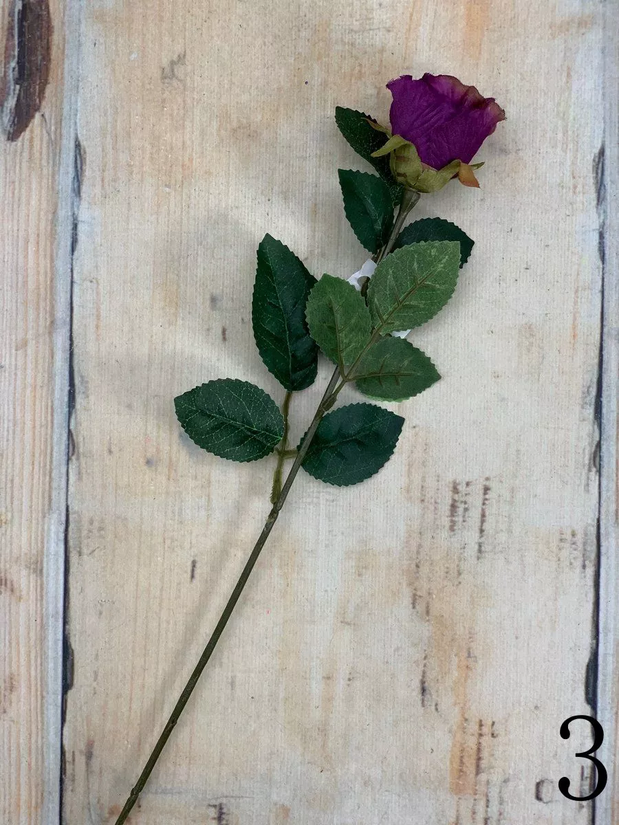 Роза 73663  Интернет-магазин Feron Flower 