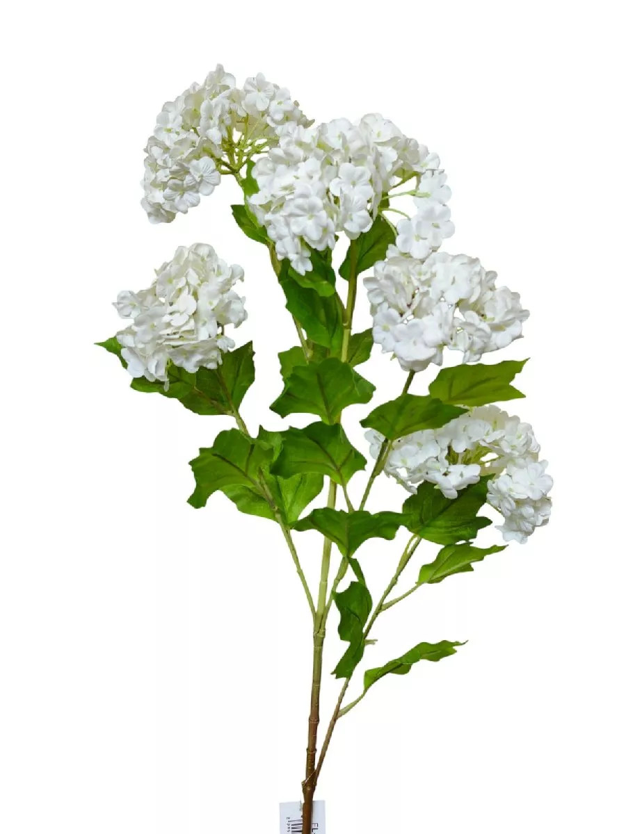 Вибурнум FL-QH001   Интернет-магазин Feron Flower 