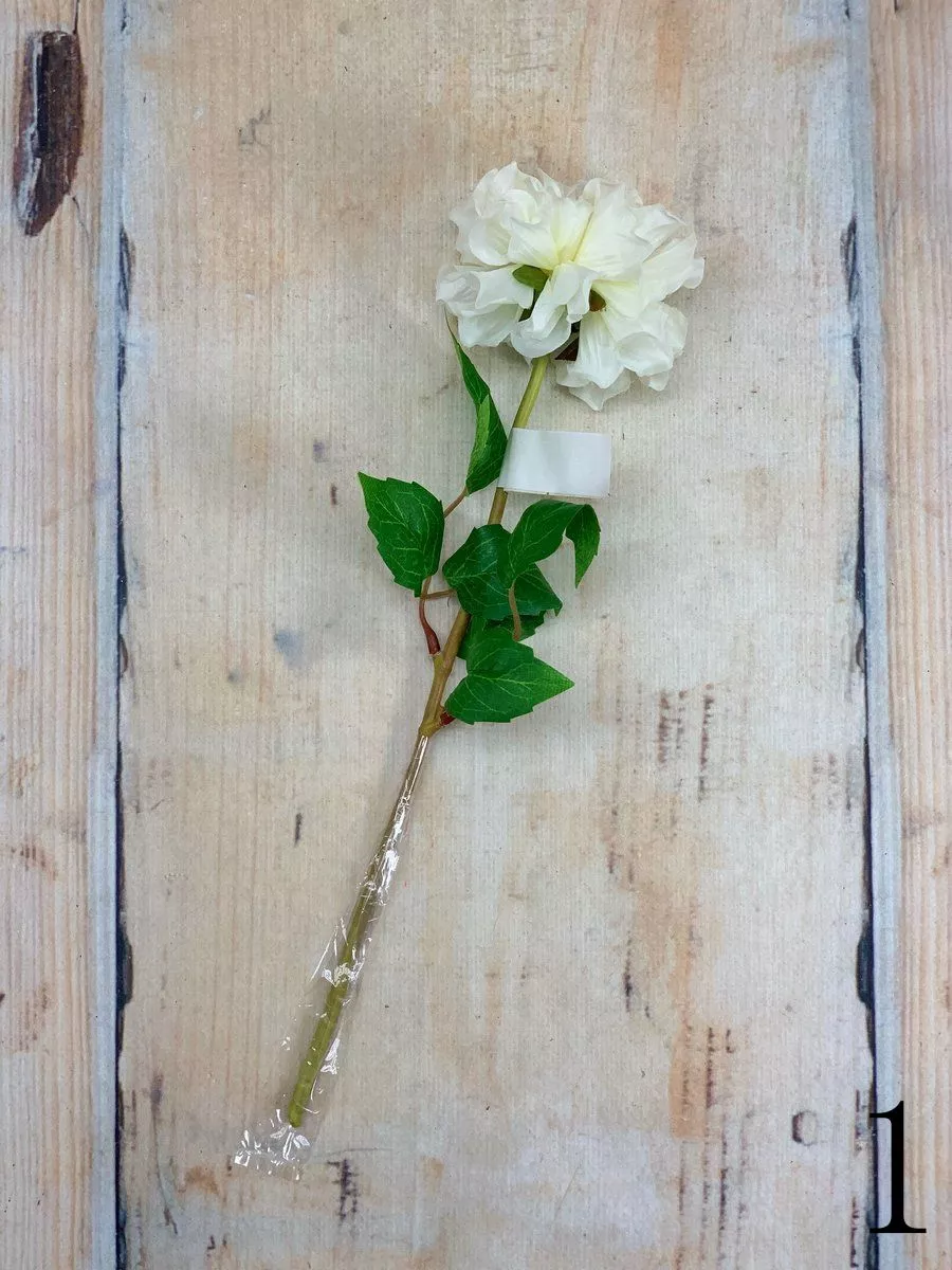 Далия 54467  Интернет-магазин Feron Flower 