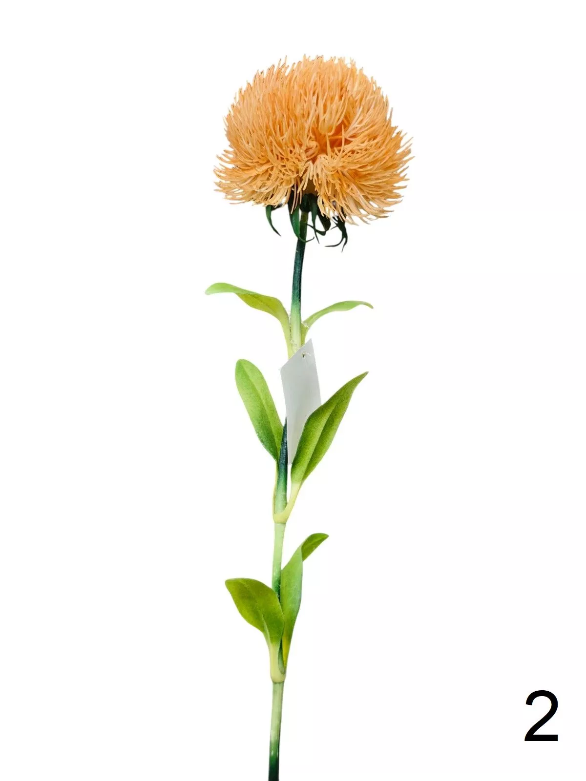 Леукоспермум K03957  Интернет-магазин Feron Flower 