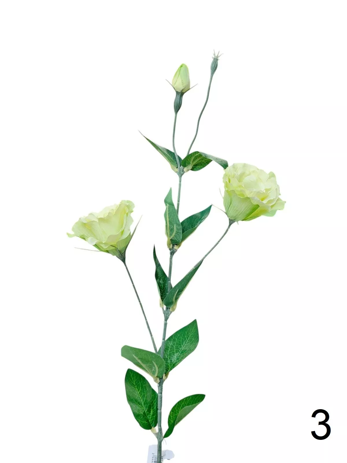 Эустома FL-QH166  Интернет-магазин Feron Flower 