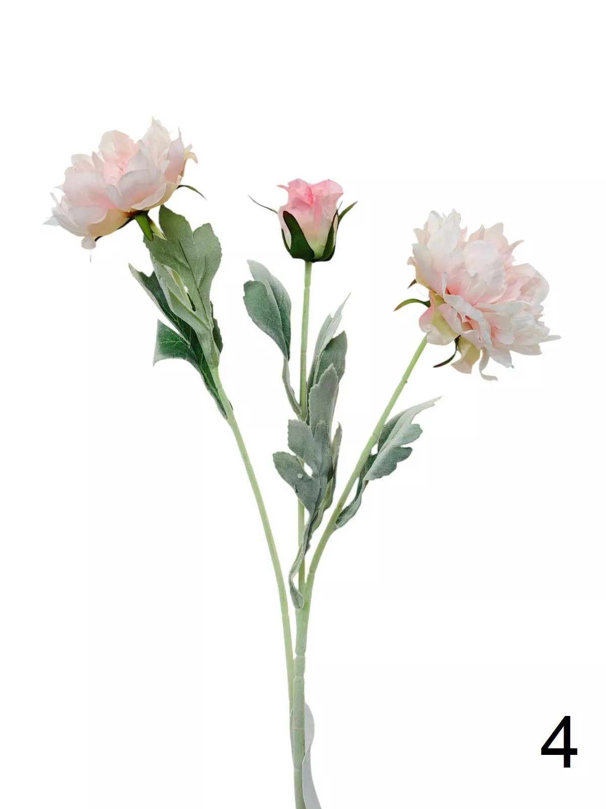 Пион FL-QH157  Интернет-магазин Feron Flower 