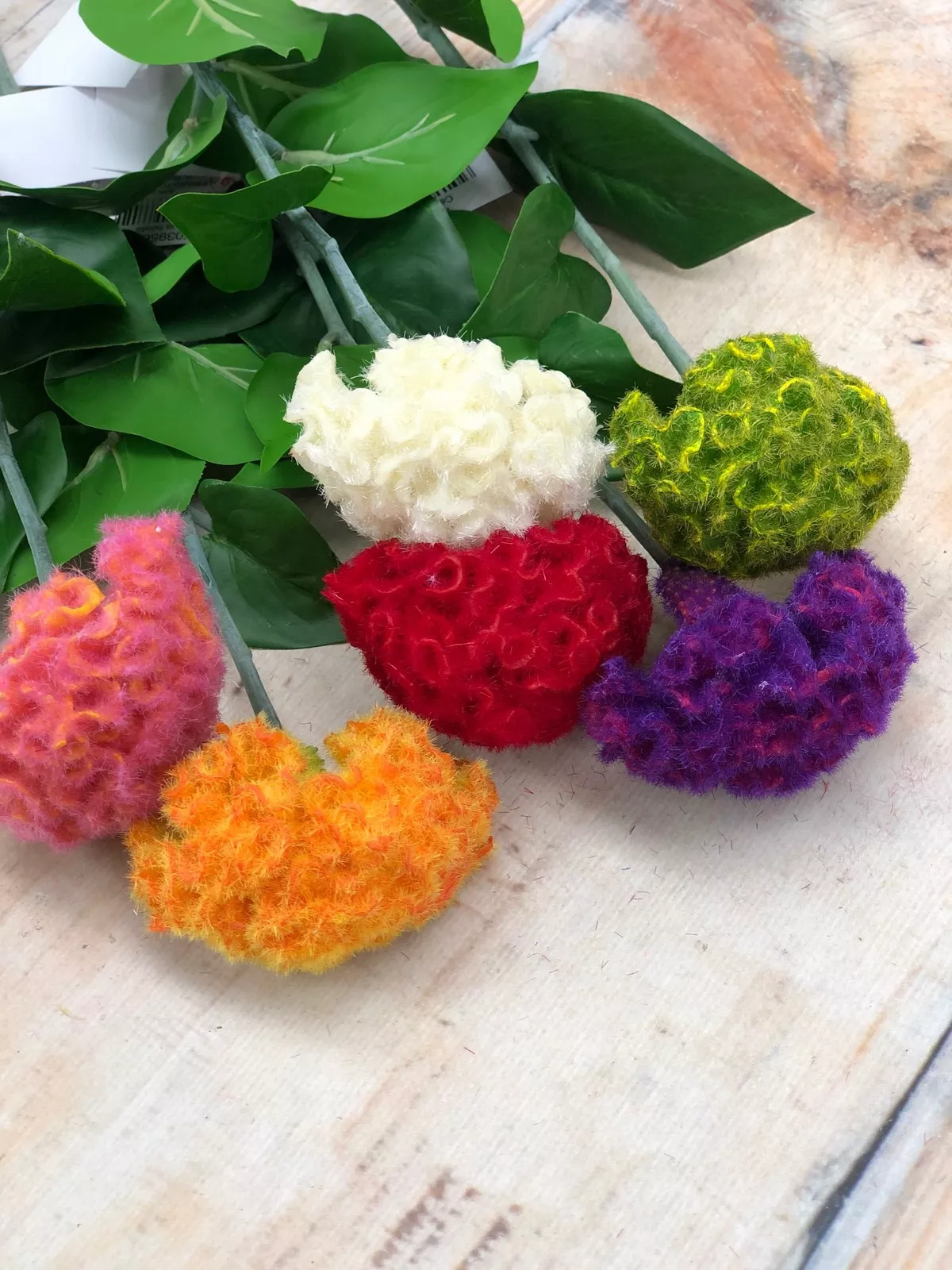 Целозия K03956  Интернет-магазин Feron Flower 