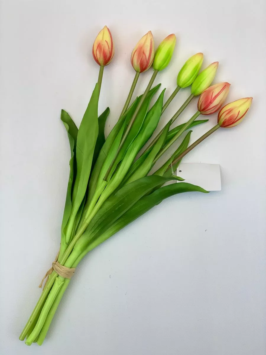 Тюльпан BU04046  Интернет-магазин Feron Flower 