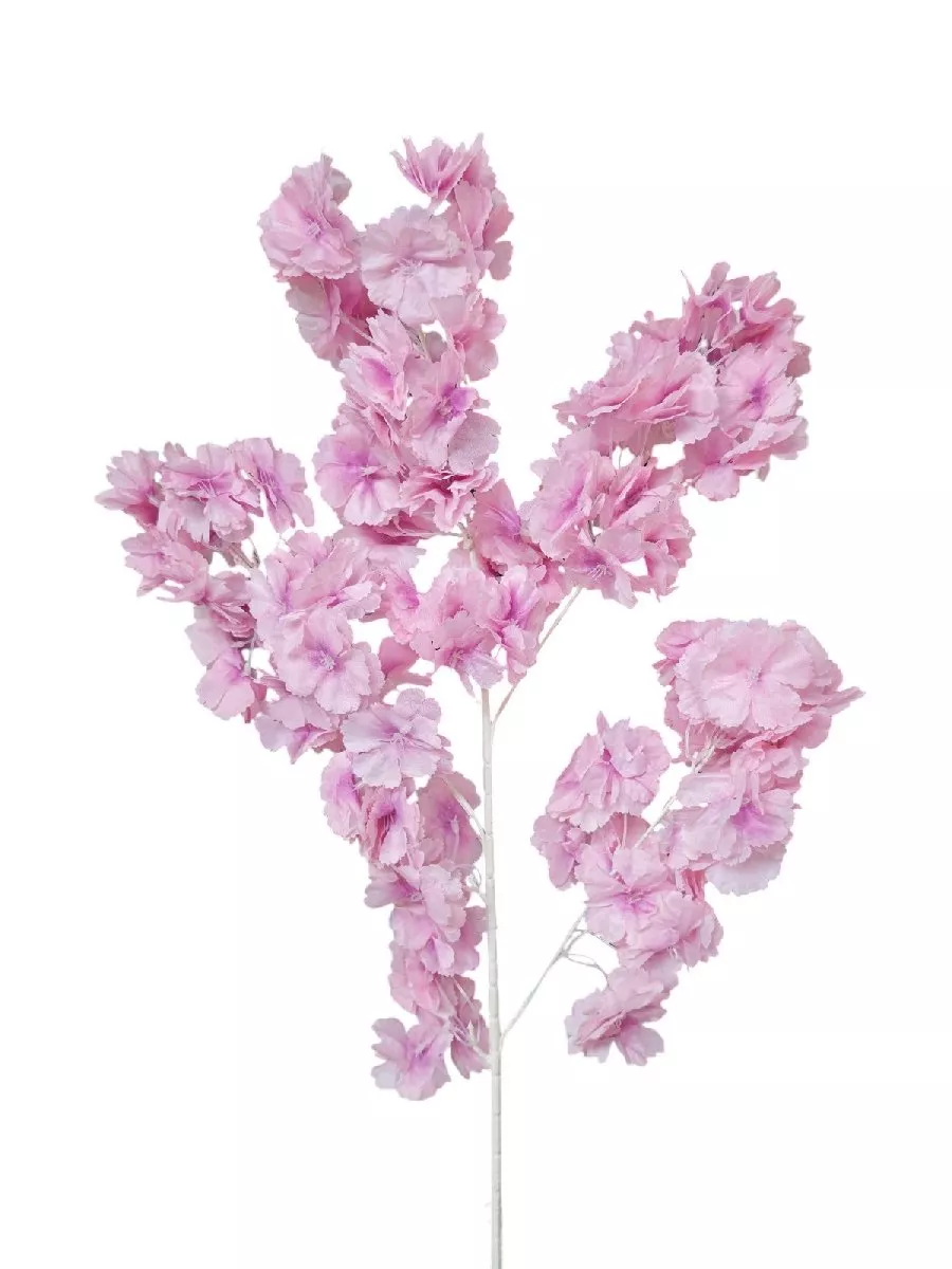 Яблонь 132219  Интернет-магазин Feron Flower 