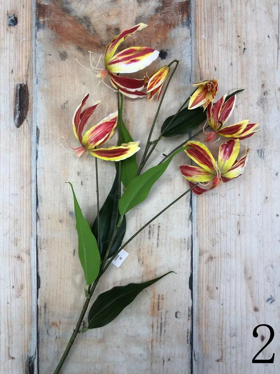 Глориоза GK009  Интернет-магазин Feron Flower 