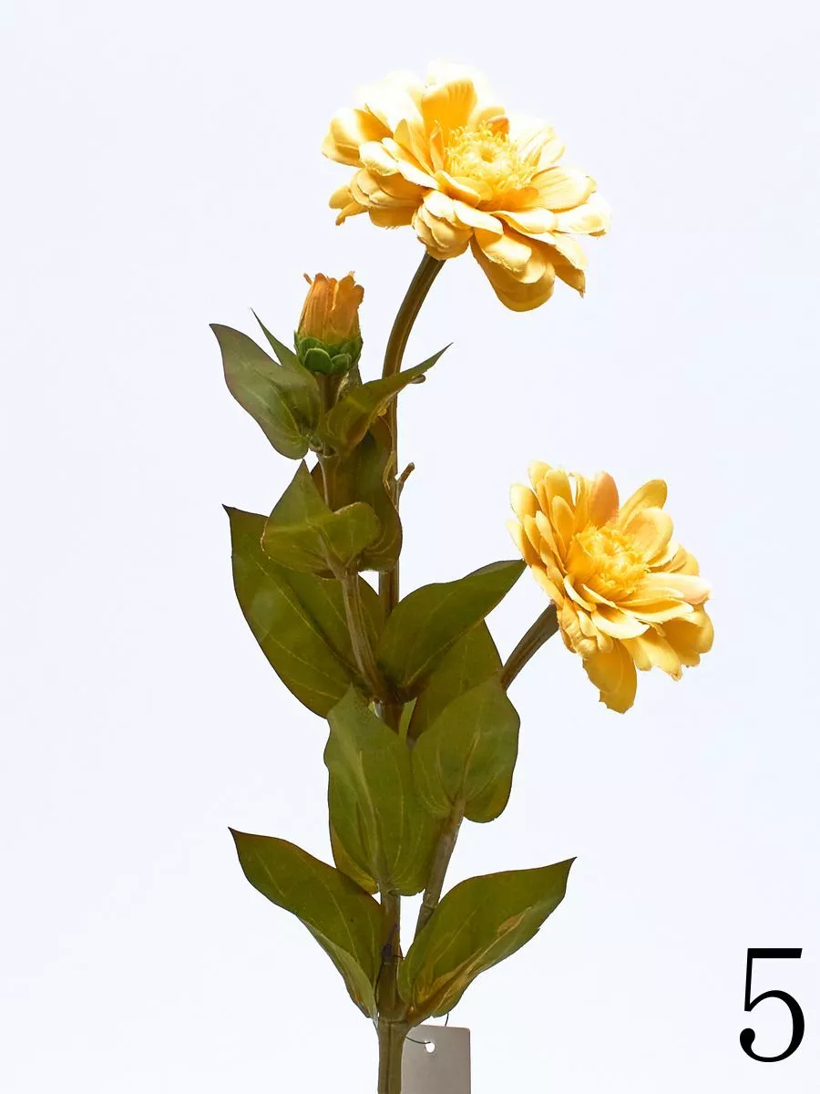 Циния SUN127  Интернет-магазин Feron Flower 