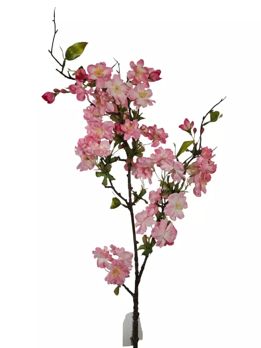 Яблонь FL-QH121  Интернет-магазин Feron Flower 