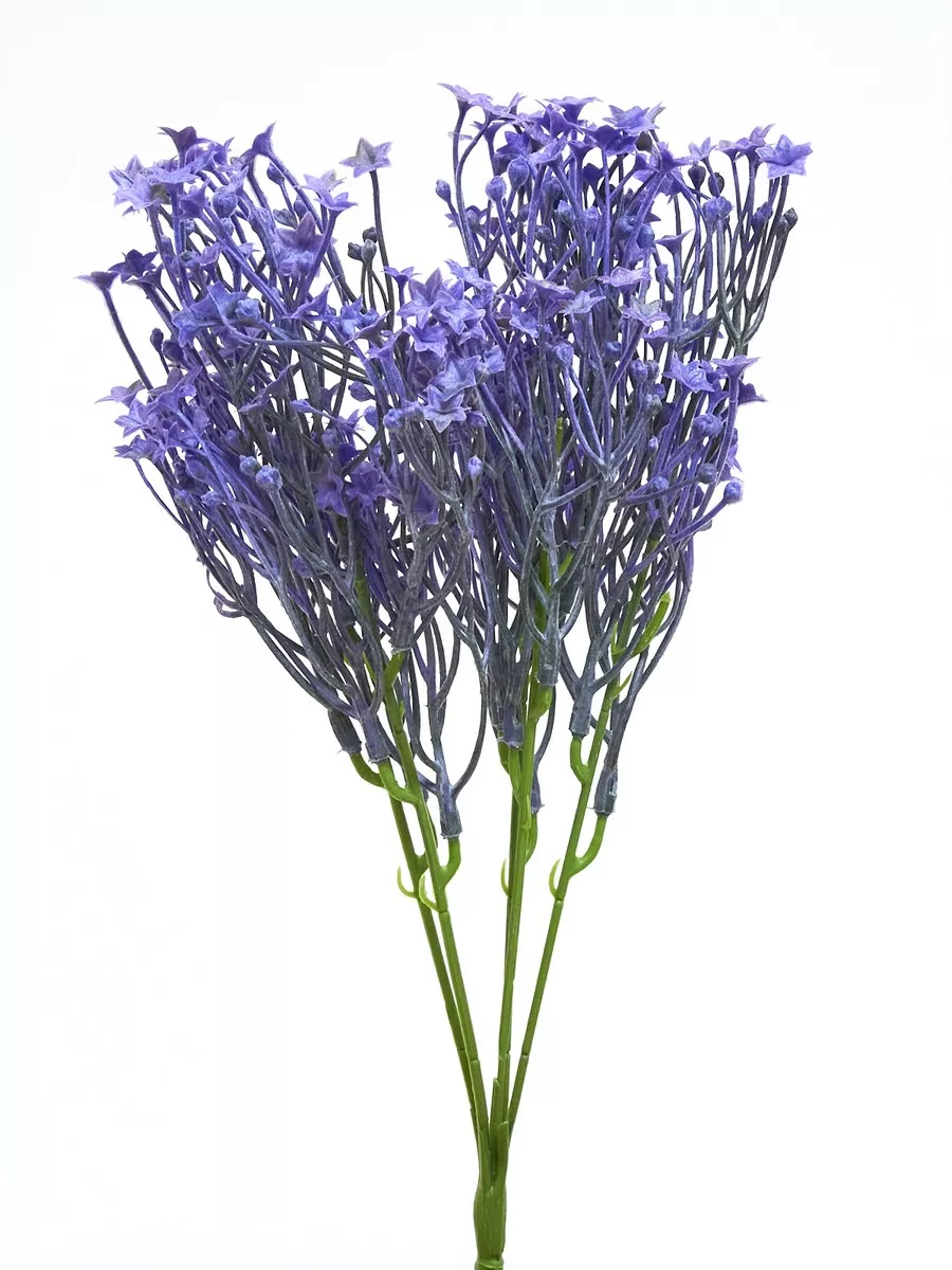 Гипсофила 153213  Интернет-магазин Feron Flower 