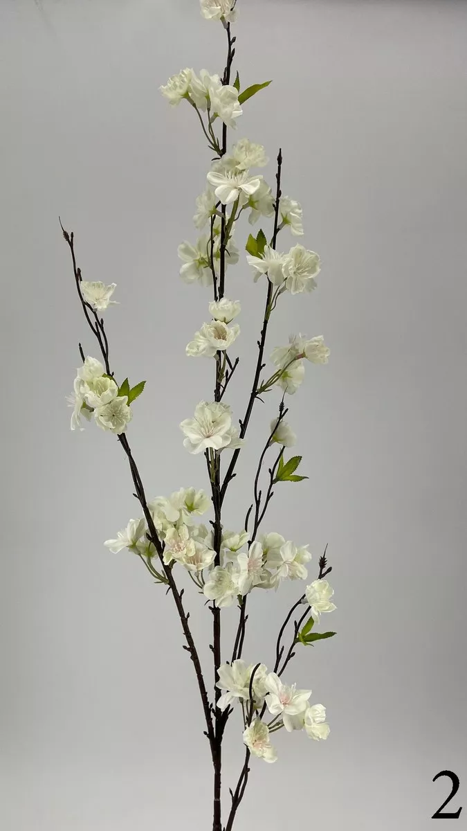 Яблонь FL-QH011  Интернет-магазин Feron Flower 