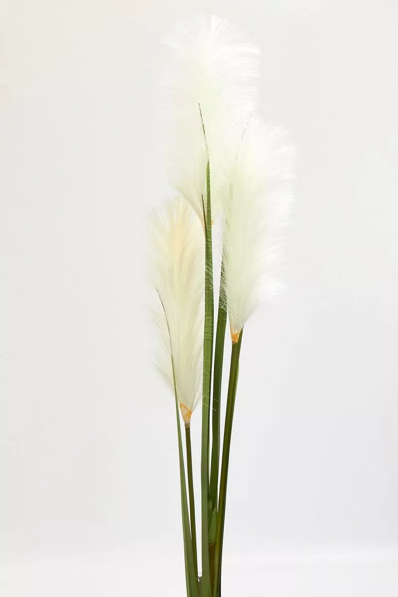 Трава 165312  Интернет-магазин Feron Flower 