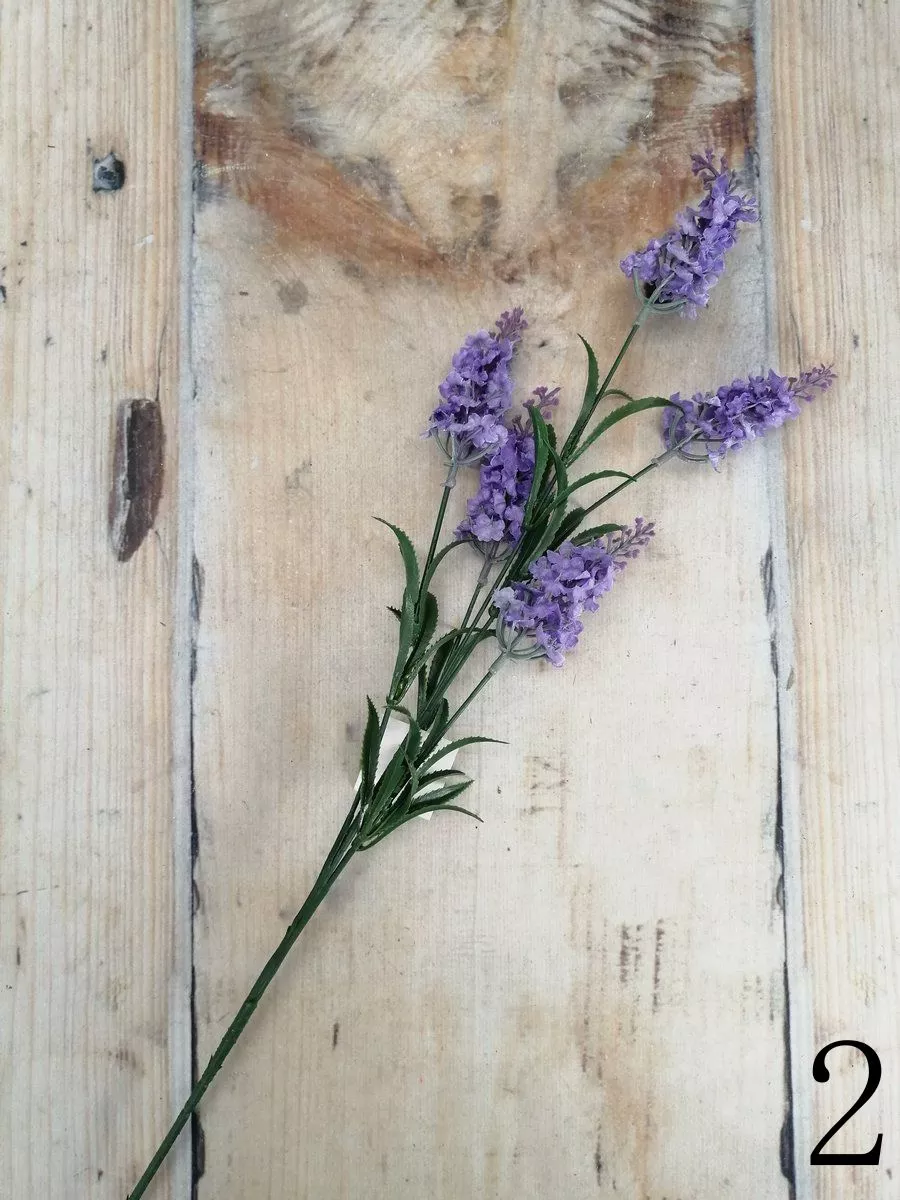 Лаванда K03785  Интернет-магазин Feron Flower 