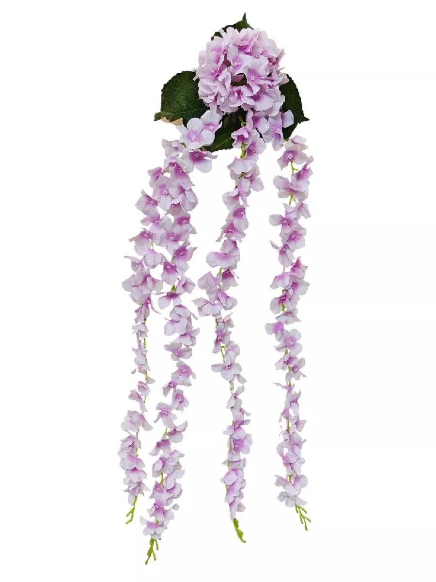 Вистерия 8KL771  Интернет-магазин Feron Flower 