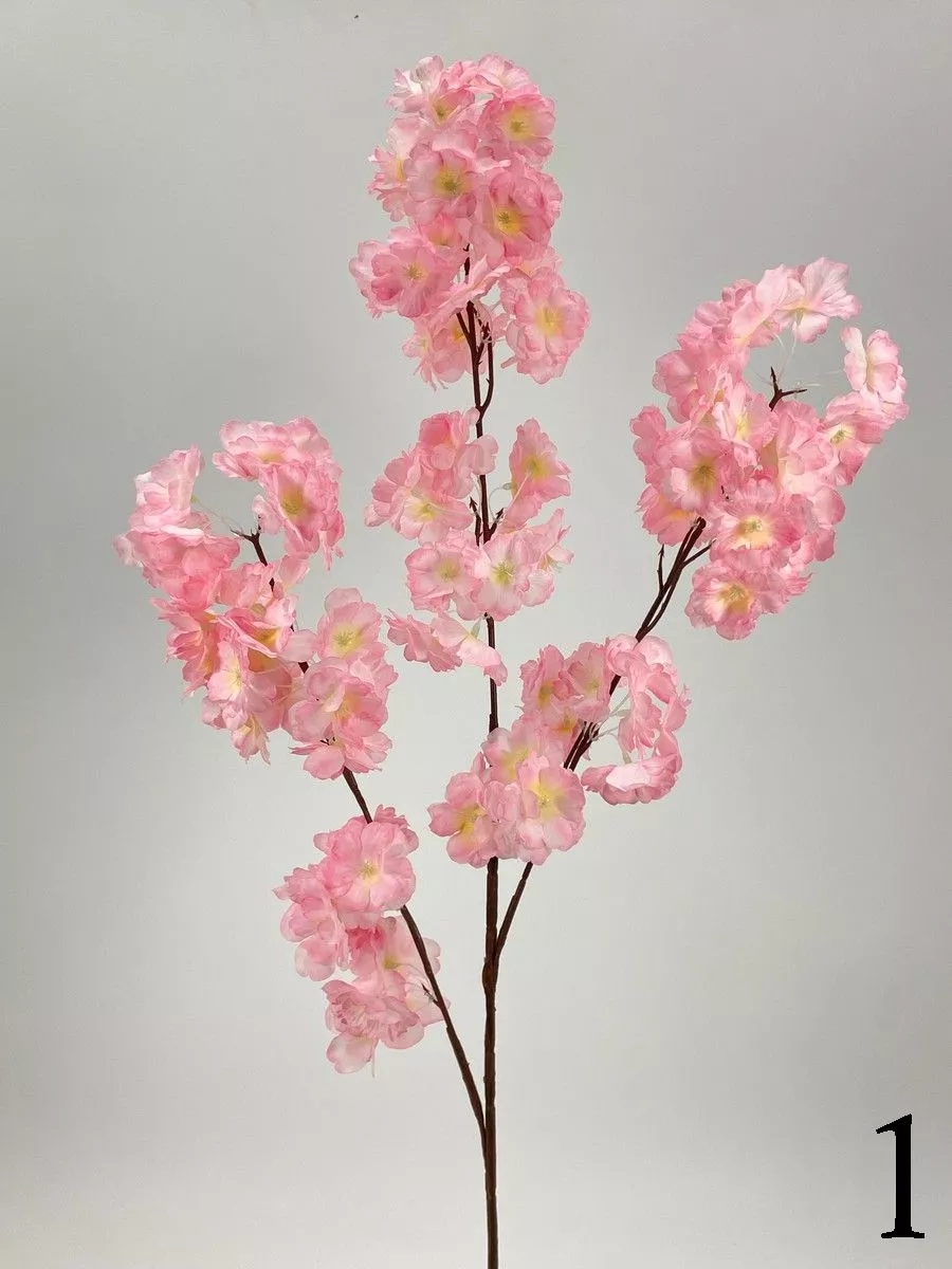 Яблонь FL-QH086  Интернет-магазин Feron Flower 