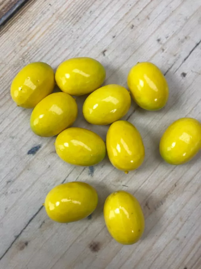 Лимон X-9  Интернет-магазин Feron Flower 