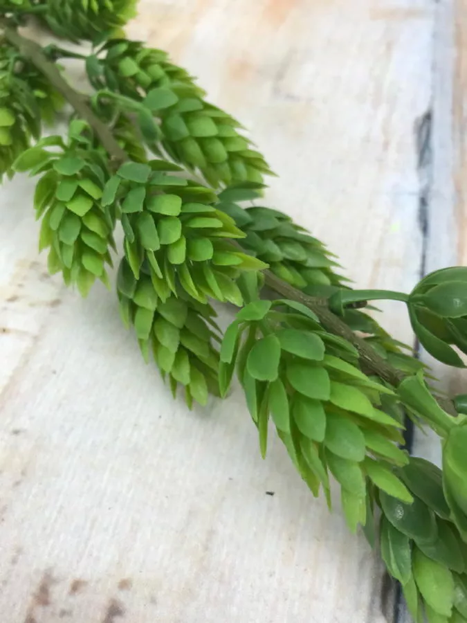 Хмель GK103  Интернет-магазин Feron Flower 